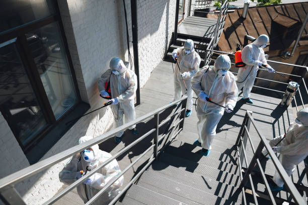 Best Mold Odor Removal Services  in Gas City, IN