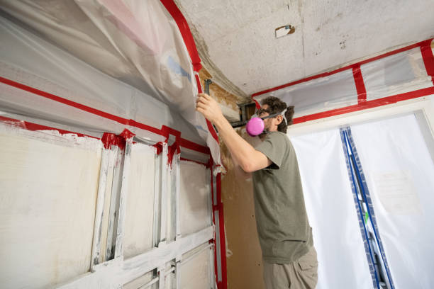 Best Crawl Space Mold Remediation  in Gas City, IN