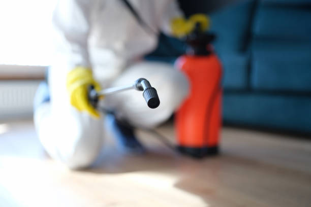 Best HVAC Mold Inspection and Cleaning  in Gas City, IN