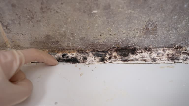 Best Indoor Air Quality Assessment  in Gas City, IN